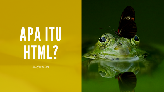 Belajar HTML : Apa Itu HTML?
