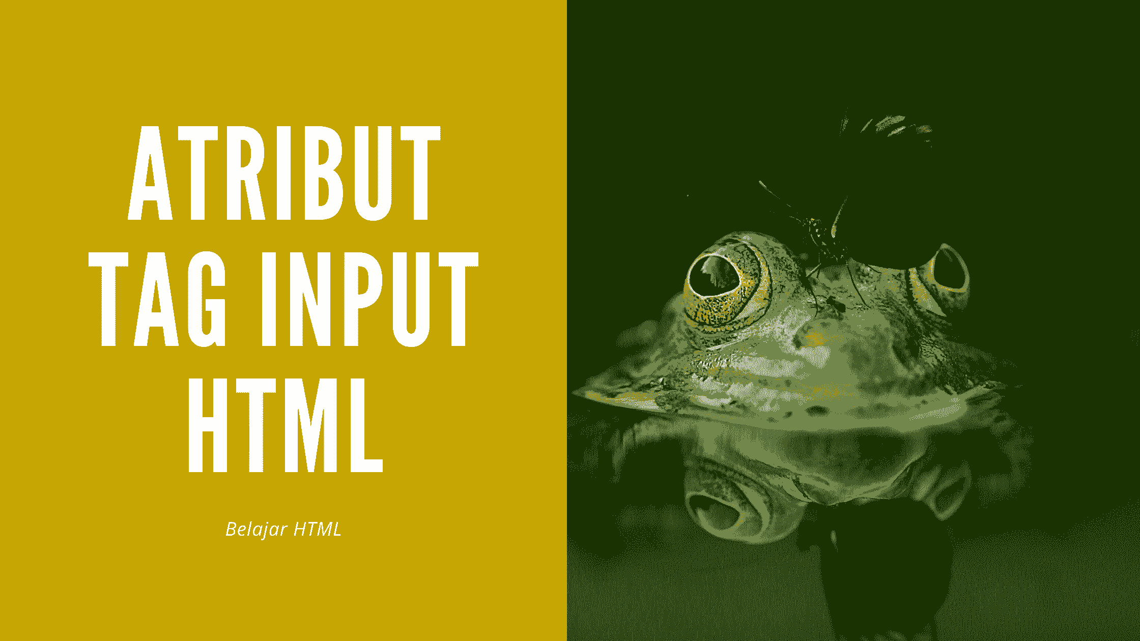 Macam-Macam Atribut Pada Tag Input HTML