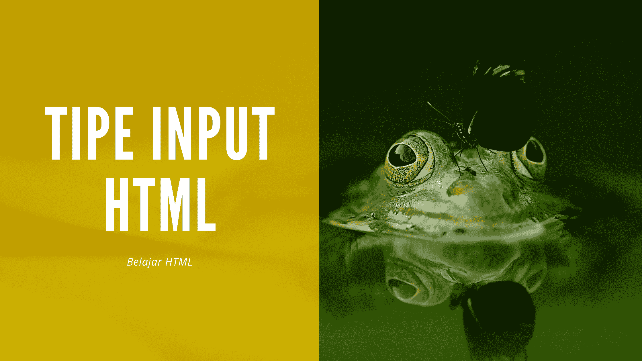 Macam-Macam Tipe Input Pada HTML