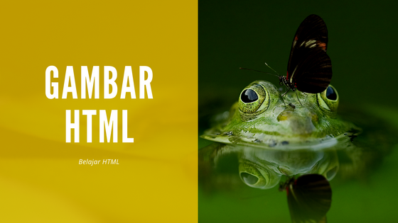 Cara Menampilkan Gambar Pada HTML
