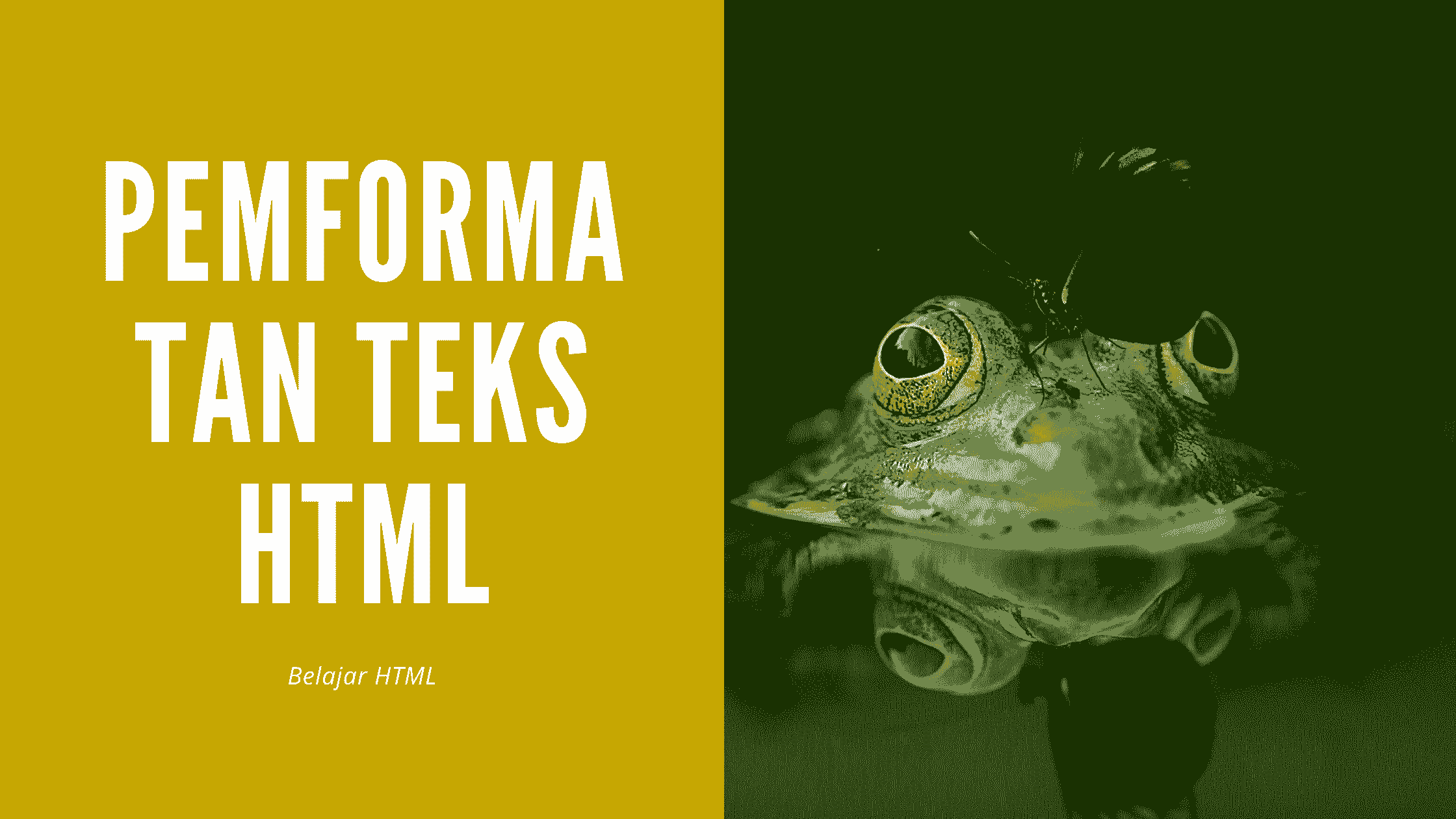 Belajar Pemformatan Teks Pada HTML