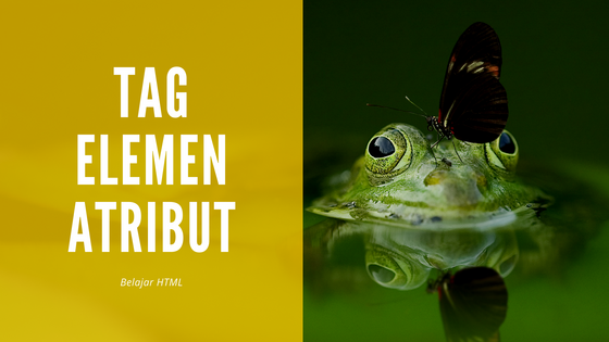 Pengertian Tag Elemen Dan Atribut Pada HTML