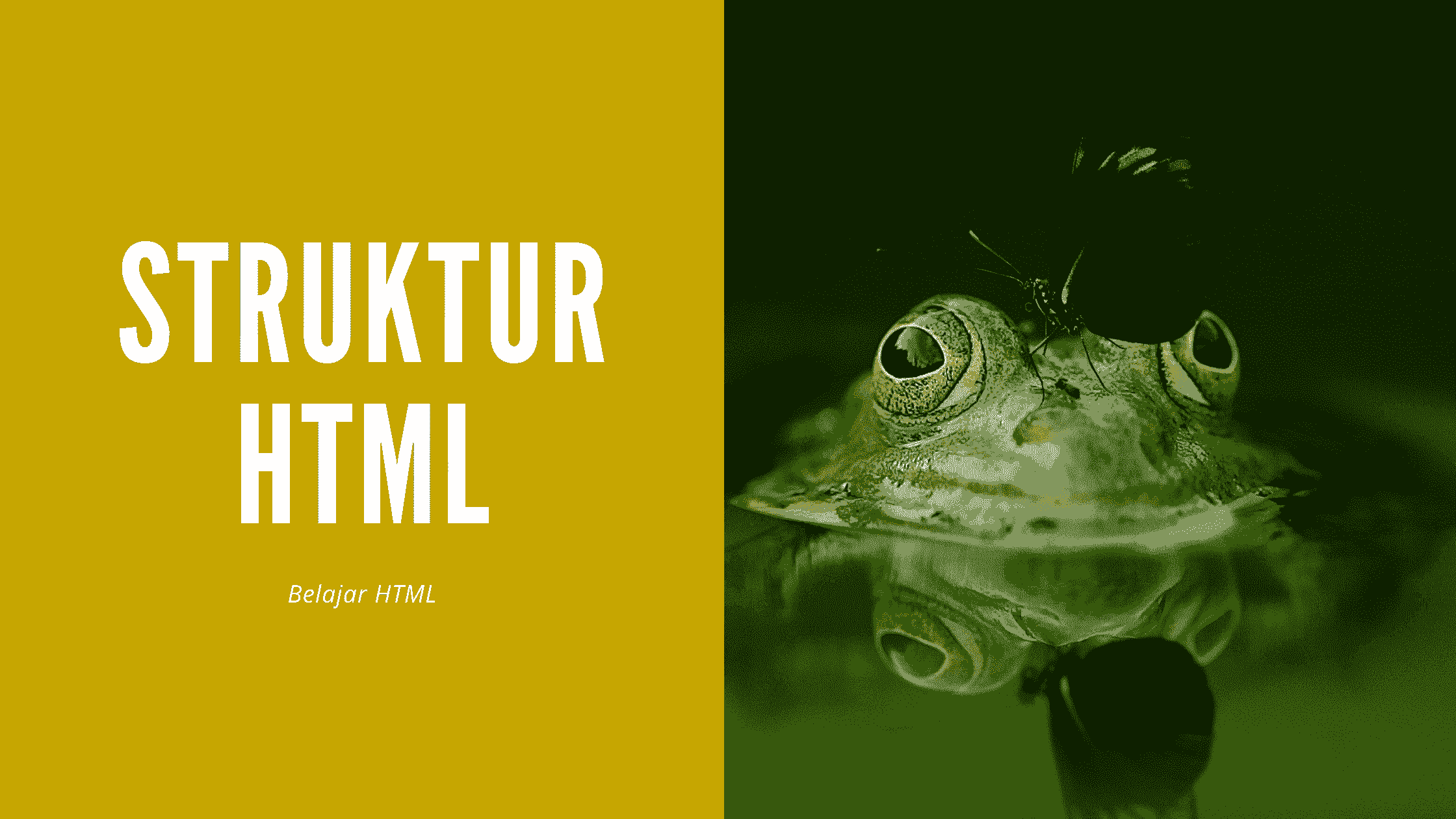 Belajar HTML : Struktur HTML